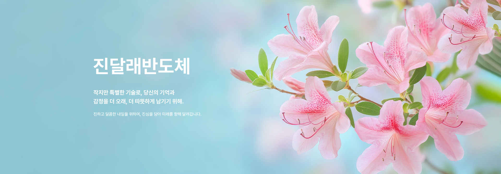 배경 이미지