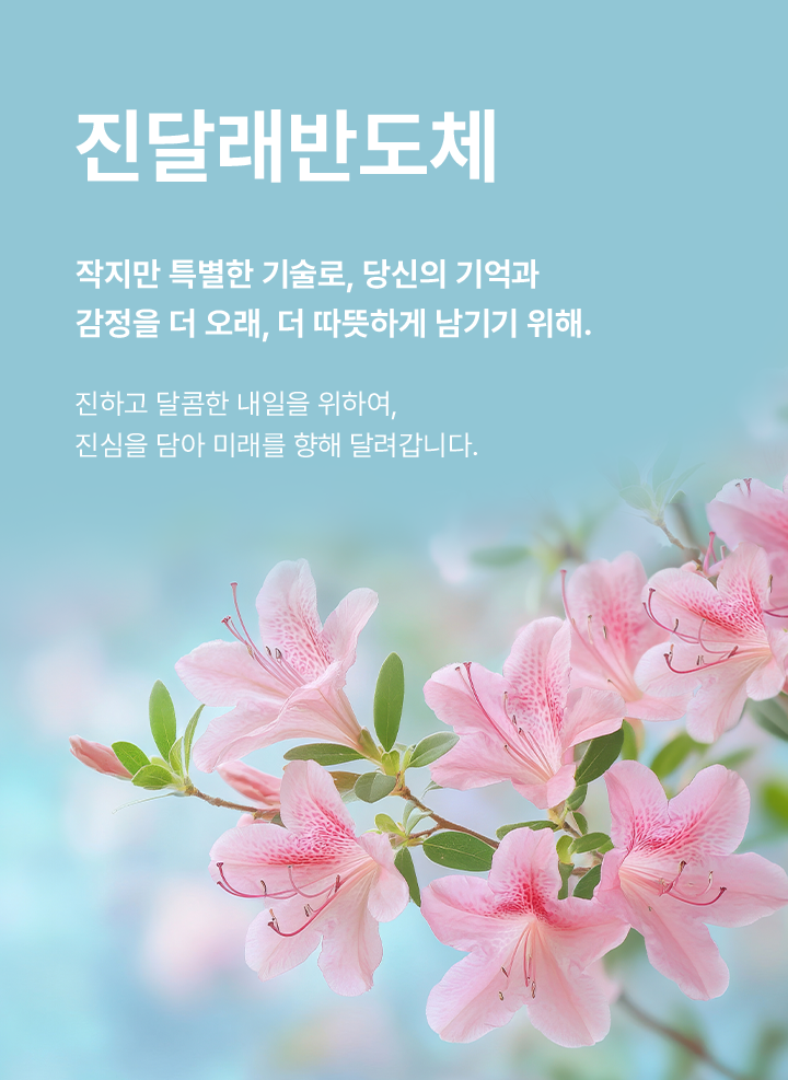배경 이미지